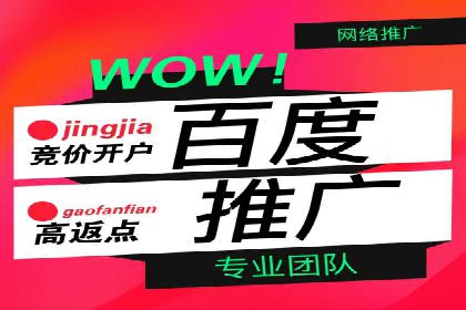 成功案例：竞价推广助力企业拓展海外市场
